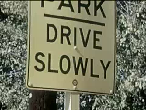 Road sign reading Park Drive Slowly mounted on a wooden post outdoors.