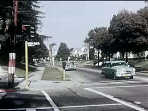 cars driving along a sunny suburban street with trees and houses, 1950s
