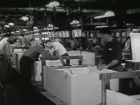 Line of workers assembling large white tubs in a factory.