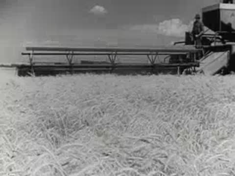 Combine harvesting wheat in a vast field under a partly cloudy sky.