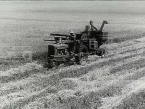 Combine harvesting wheat in a rural field near industrial facilities.