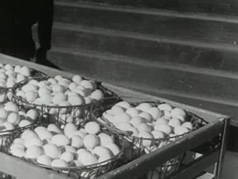 Baskets filled with eggs in a metal cart near some stairs