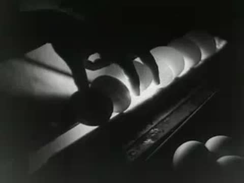 An egg candling process showing light passing through eggs on a conveyor belt