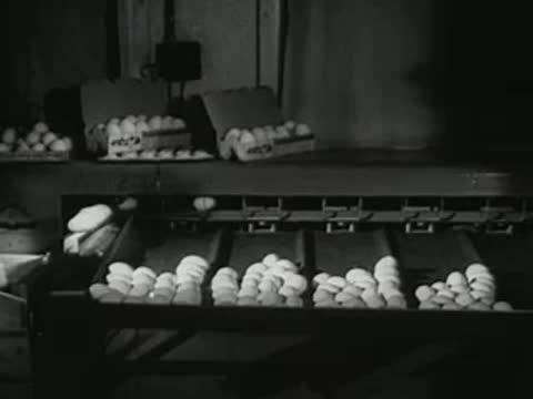 Eggs moving along a conveyor belt and being packaged in cartons