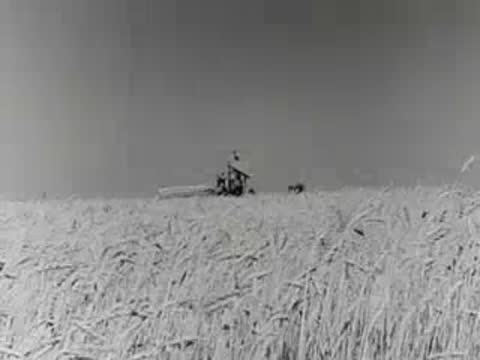 A farmer in a hen house, a tractor in a field, and eggs frying in a pan