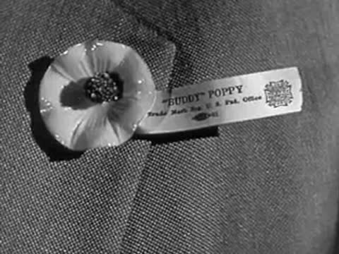 A close-up of a Buddy Poppy flower pinned to a man's grey suit jacket.