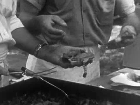 A person grilling food at an outdoor barbecue event with food preparation visible.