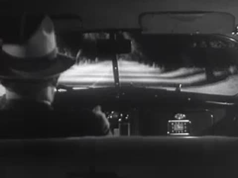 Interior view of a car driving down a tree-lined road at night.