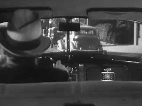 View from inside a car as it drives along a tree-lined street.