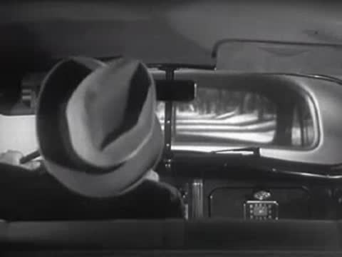 View through the rear window of a car driving down a tree-lined road.
