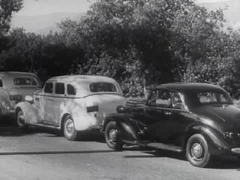 Two vintage cars are parked side by side by some bushes.