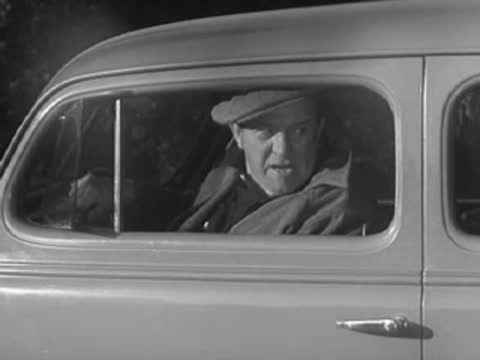 A man in a cap sits behind the wheel of a parked car.