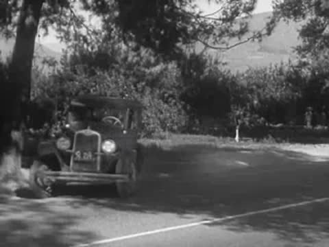 A vintage car driving slowly near a tree and stopping.