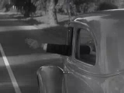 Driver's arm extending out car window, showing hand signals.