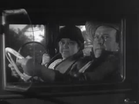 Driver and passenger inside a car looking through the window.