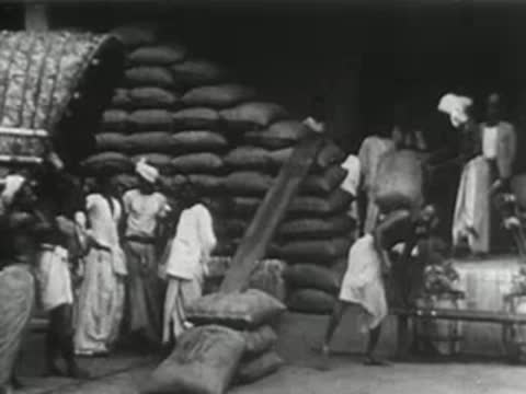 workers and handlers in industrial and storage settings including food preparation