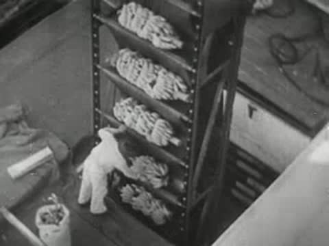 worker stacking crates on shelving unit in warehouse or factory setting