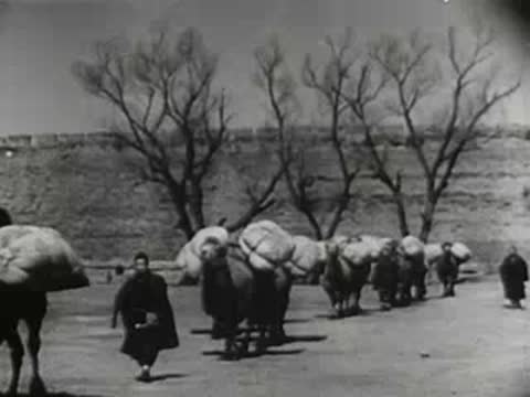 Pack animals and handlers walking near a wall