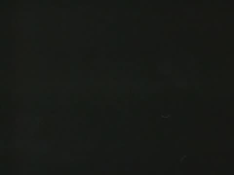 close-up of a turkey fading into black screen transition