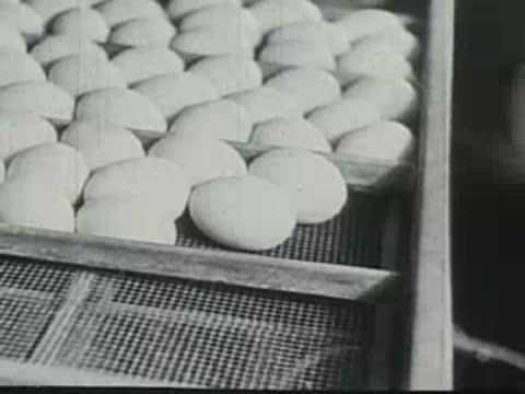 A person's hand carefully placing eggs into a wooden incubator tray