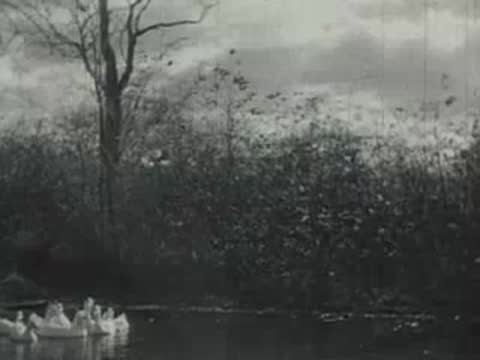 A line of white ducks swims across a river.