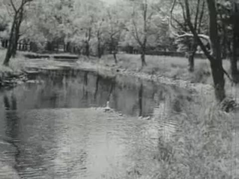 A winding river flows past dense trees and grassy banks.
