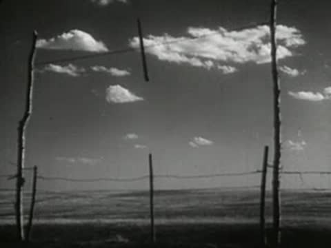 Barbed wire fence in foreground, wooden posts, plains under sky.