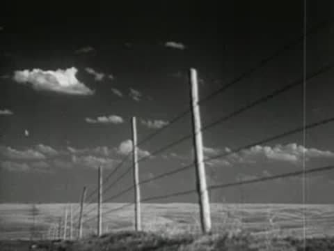 Wooden fence posts and barbed wire running across grassy plain.