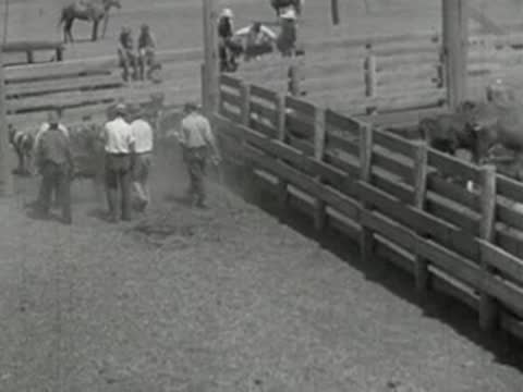 Workers standing by a wooden fence near a corral, prelinger archive footage