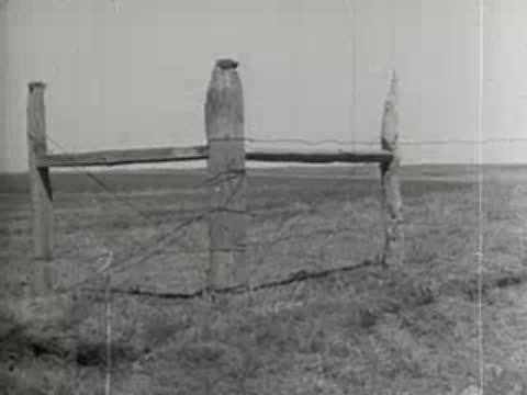 Old wooden fence in barren field, landscape background.