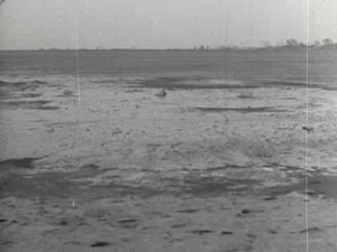Dry cracked earth and sparse vegetation stretching to horizon.
