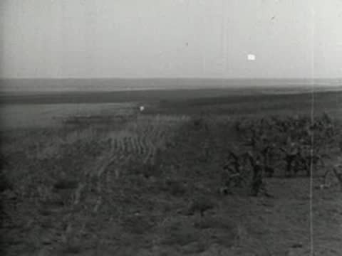 Wide landscape showing dark fields, horizon, hazy sky.