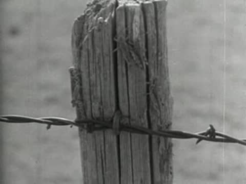 Close-up of wooden fence post with barbed wire strand wrapped around.