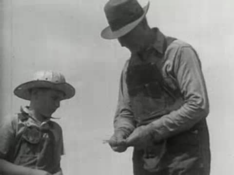 A farmer showing the child dried wheat plants in the field