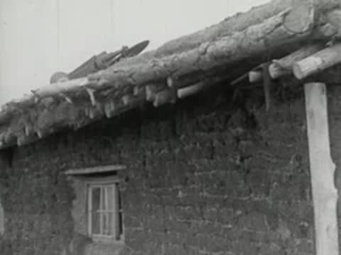 Detail views of the exterior wall and thatched roof of a sod house