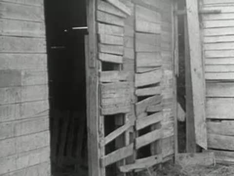 Close-up of the weathered wooden door and siding of an old shed