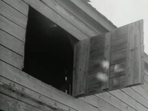 Close-up of an open wooden window shutter on the side of a building