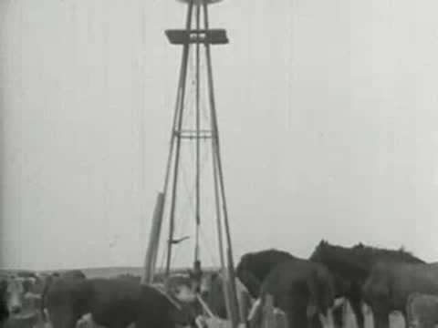 A metal windmill stands against a clear sky near a water trough.