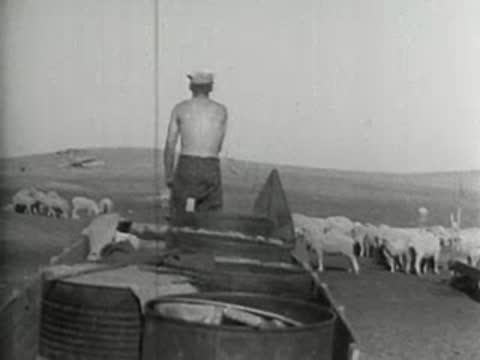 A shirtless man standing on a farm vehicle looking out over a landscape.