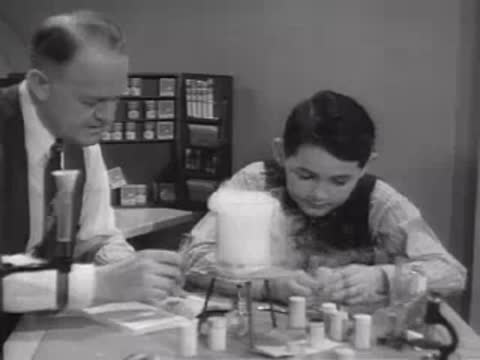 Adult and youth conducting a chemical experiment in a laboratory