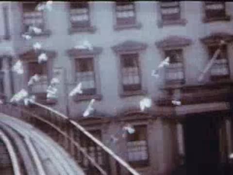 view from a moving train passing city buildings and pigeons taking flight