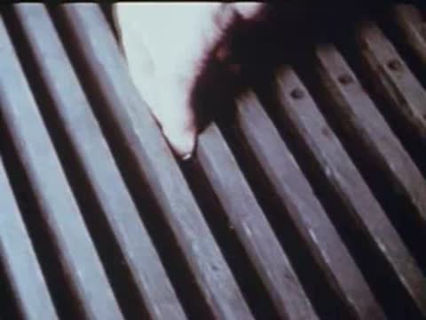 hand placing a coin into a slotted metal floor grate