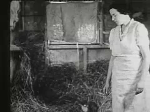 Woman standing up in the barn, looking down at the kittens in the hay.