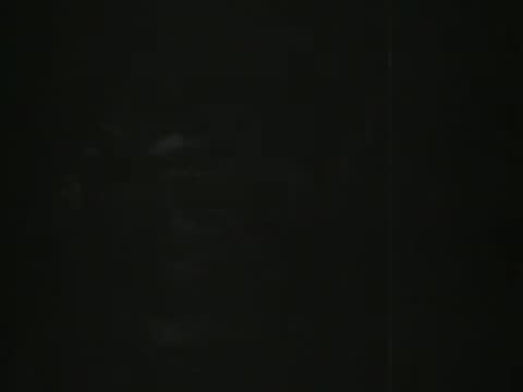 Tabby kitten turning head and looking away in dark outdoor setting.