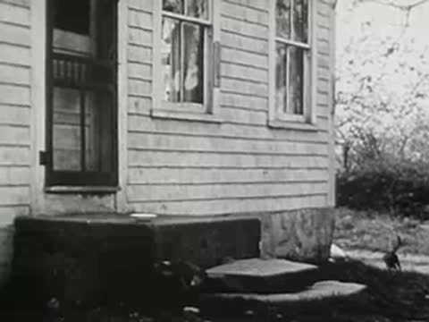 exterior of a clapboard farmhouse with steps leading to a cellar door