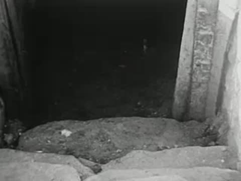 view down into a dark stone cellar or basement stairwell, old farm building