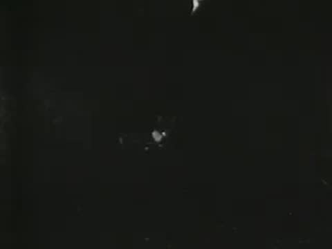 small kitten walking on a dark floor in a cellar, fading to black