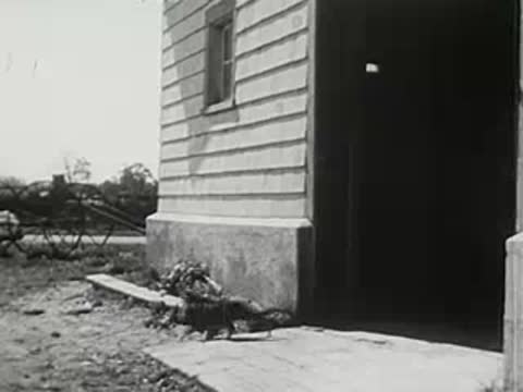 exterior of a white wooden farmhouse with a cat near the open doorway