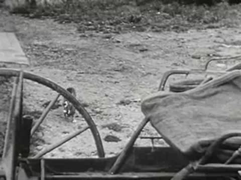small kitten walking outdoors near farm equipment on the ground