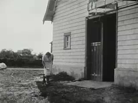 Woman carrying a bowl walking towards the open door of a barn.
